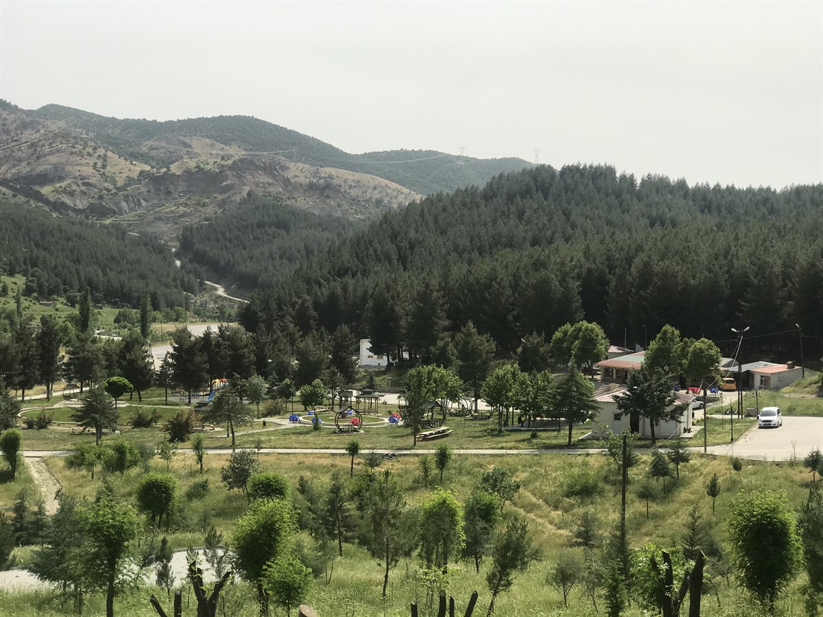 Baykan Kent Ormanı